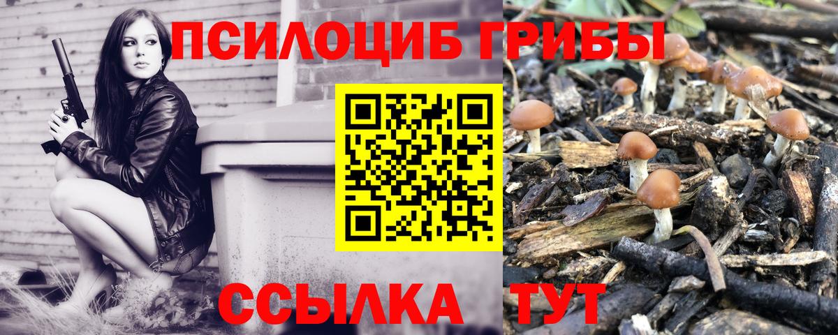 Псилоцибиновые грибы Cubensis Баксан