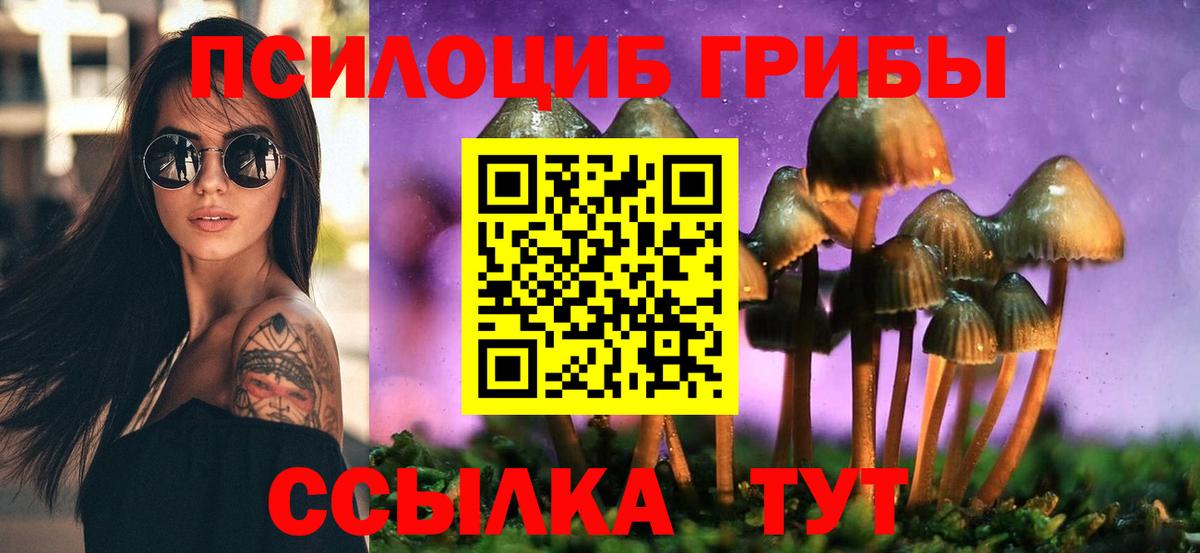 наркошоп  Галлюциногенные грибы Cubensis  Вход с VPN  Баксан 